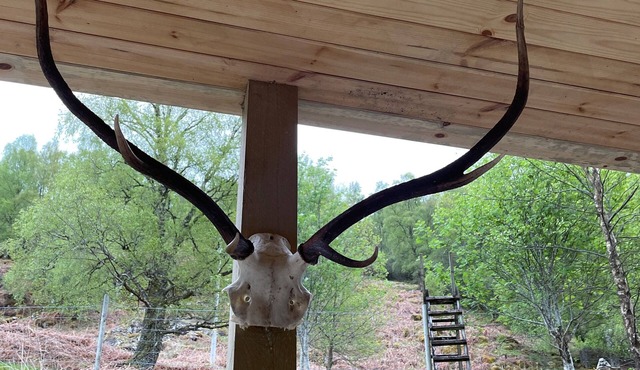 Cosy highland Coorie doon cabin great Scottish welcome