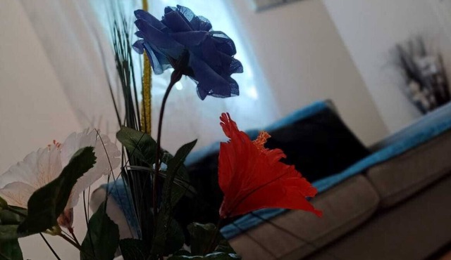 Cosy House - Château D'eau Proche Rer