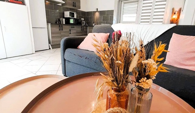 Cosy house-2 bedrooms- garden- wifi- Reuilly centre