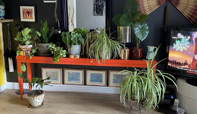 Cosy house for vacations with family or friends