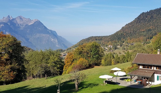 Cosy individuel chalet with a amazing alps and lake panorama, large garden.