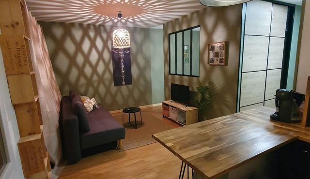 Cosy Jungle Studio 🦍