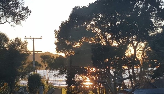 Cosy Kiwi Cottage with Sea Views and Native Bush.