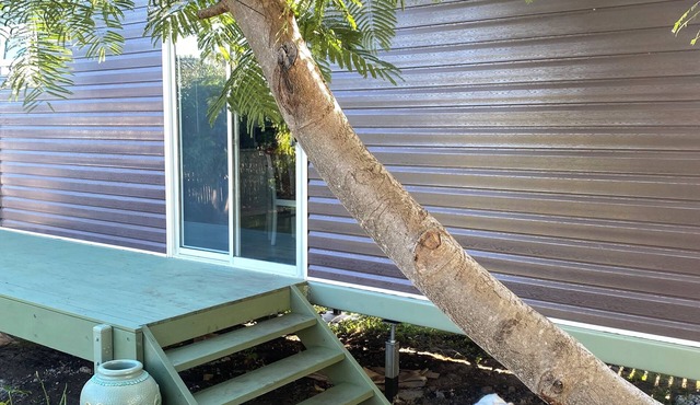 Cosy little cabin 5 minutes from the beach.