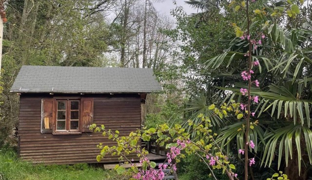 Cosy little chalet at 800m altitude