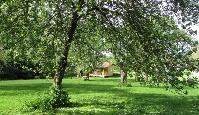 Cosy Lodge completely on your own in an acre of land. and will take 2 dogs