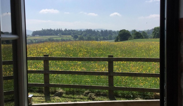 Cosy Loft with Stunning Views