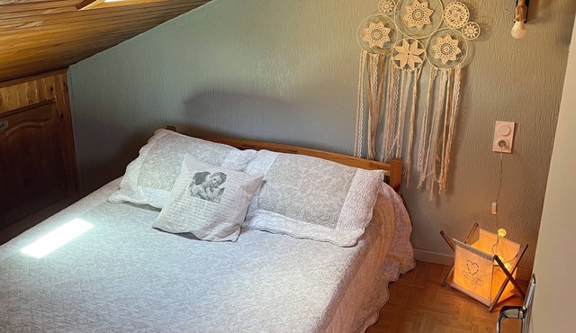 Cosy mountain chalet- Saillagouse- Mountain view & hot-air balloons -