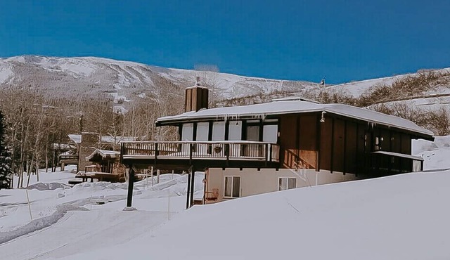 Cosy Mountain Ski Chalet In Snowmass Village