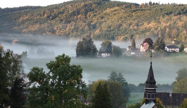 Cosy nest in the heart of the Hohwald forest at 625 m altitude.