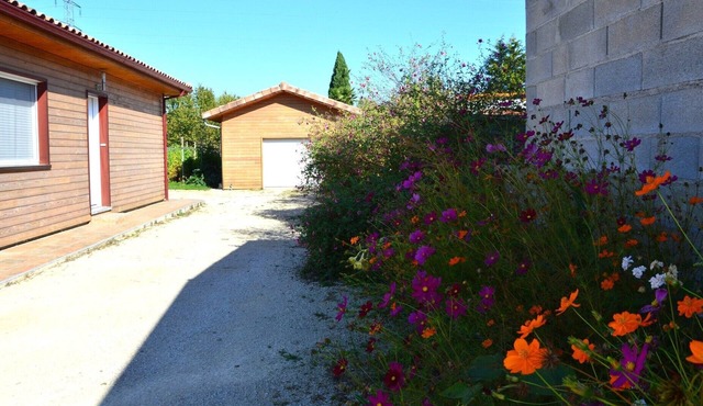 Cosy new apartment with wooded garden near Montauban town center