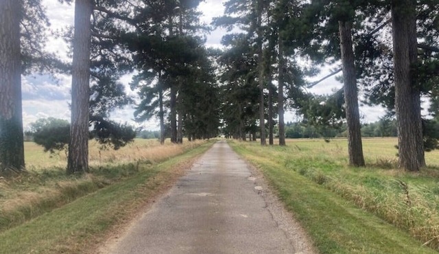 Cosy Oak Beam Barn - edge of Cotswolds & Oxford