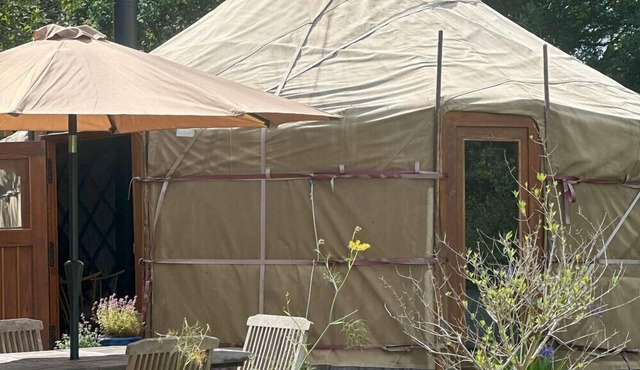 Cosy off-grid yurt in Pembrokeshire - A chance to be ‘in’ the landscape.