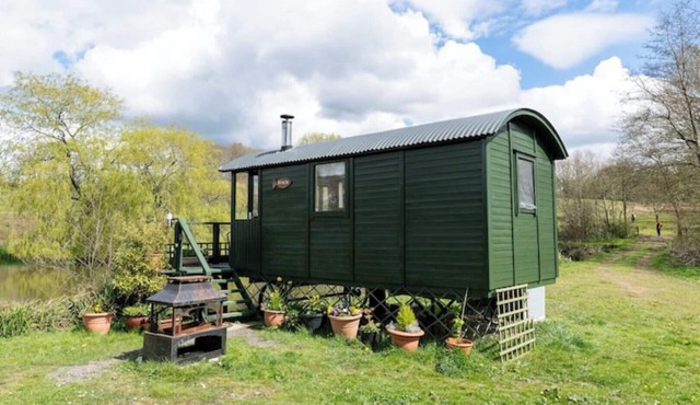 Cosy, peaceful & secluded lakeside cabin. BBQ, Firepit, Fishing, Dogs welcome.