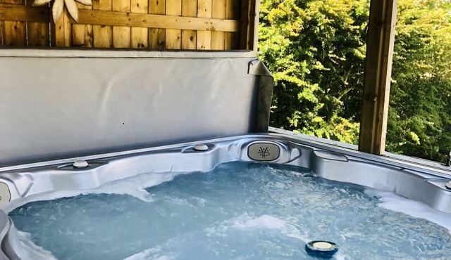 Cosy, quiet butterscotch apartment on Doane with hot tub