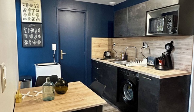 Cosy, renovated apartment near city center