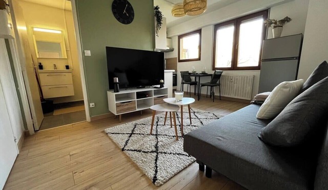 Cosy Rent Strasbourg appartement wifi, terrasse