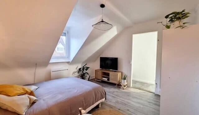 Cosy Rent Strasbourg saint Florent proche Gare