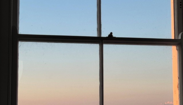 Cosy sea views in a great location