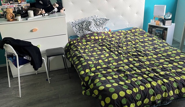 Cosy south-facing T2 apartment