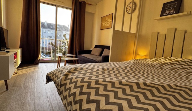 Cosy stay, near castle, CHU