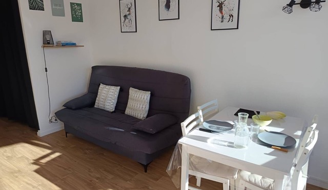 Cosy Studio 25 m2 Rénové Orienté sud