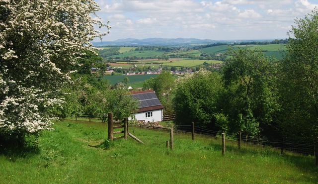 Cosy studio apartment with garden, views and forest walks from the doorstep.