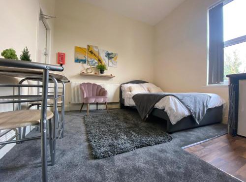 Cosy studio apartment - recently renovated!