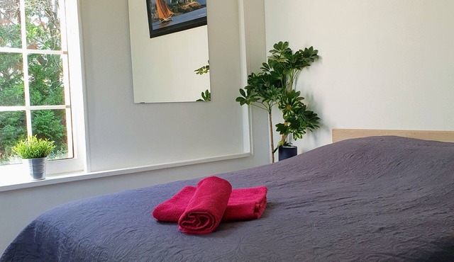 Cosy studio in house with garden. Near Eurexpo/Groupama Stadium/LDLC Arena