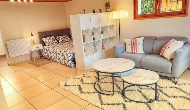 Cosy studio in the heart of the Alps