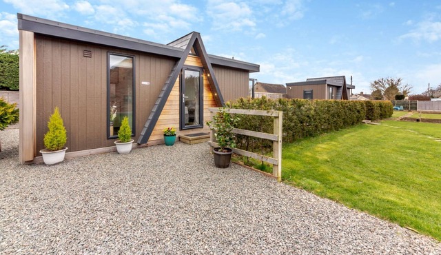 Cosy studio lodge with hot tub - Hydrangea