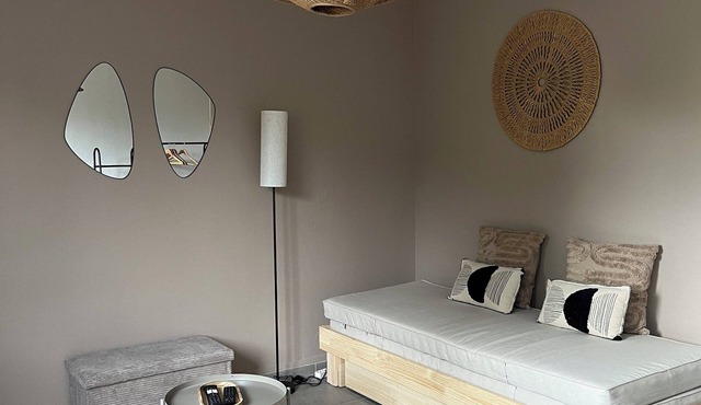 Cosy studio Villeurbanne - near metro Cusset - 15 min Part-Dieu