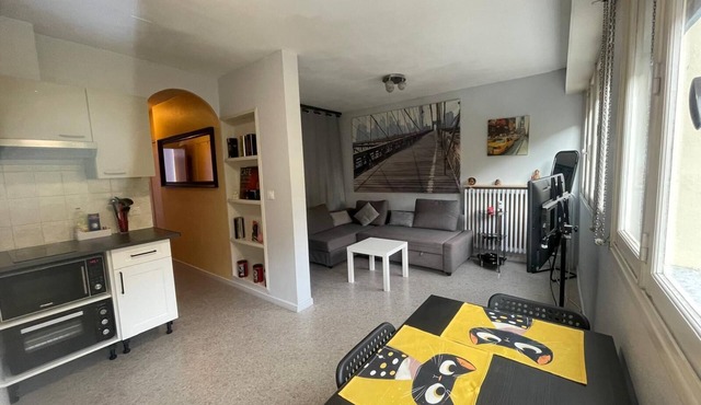 Cosy T1 bis ideal for vacations - cures