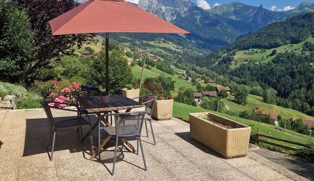 Cosy T1 with magical view of the Aravis mountains