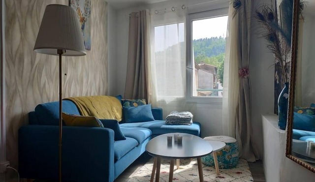 Cosy T3 apartment with river view