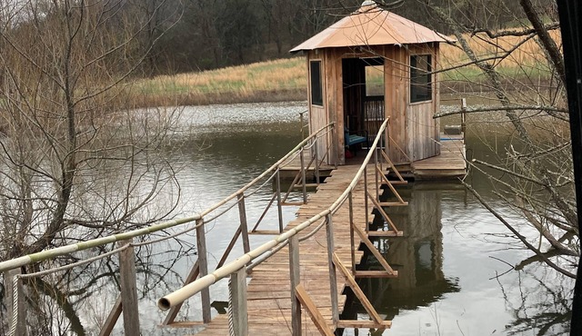 Cosy Trailer in a Private Delightful Location on a 175 Acre Art Farm in TN