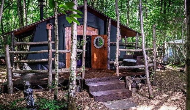 Cosy woodland Romantic retreat With log fires and nature