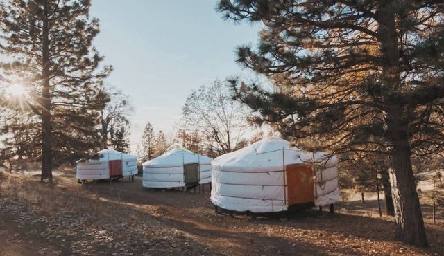 Cosy yurt at a nature retreat