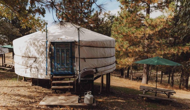 Cosy yurt at a nature retreat in Dunlap, CA