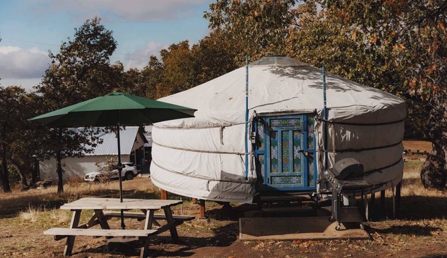 Cosy yurt at a nature retreat in Sequoia Forest