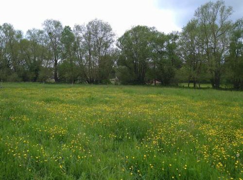 cosy, zen, télétravail cool