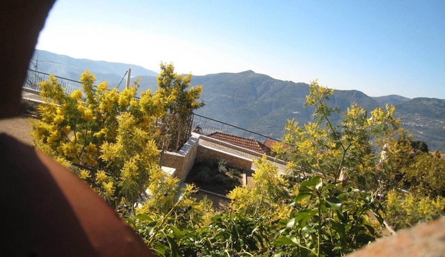 COTE D'AZUR, detached house with large garden in typical village