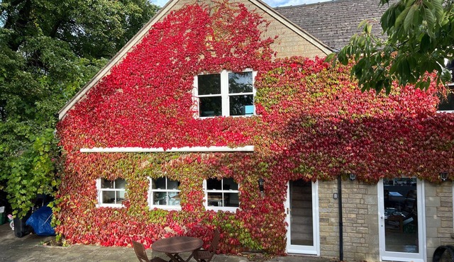 Cotswold dog-friendly holiday home