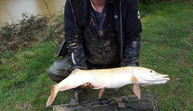 Cottage in Loire de Paye with Private Pool and Fishing Lakes