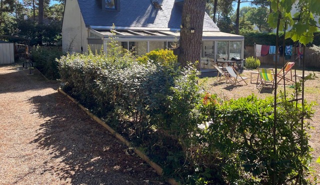 Cottage 100m from the beach