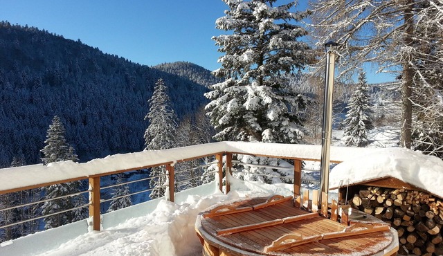 Cottage 15 people in the heart of nature, Finnish bath, view of the Vosges mountains