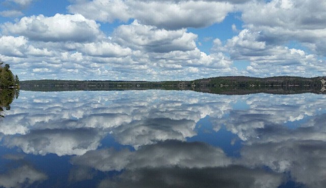 Cottage #3: Pristine Waterfront! Cottages on the edge of Bon Echo