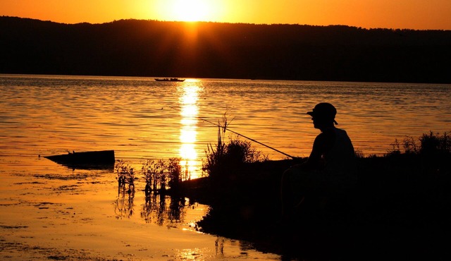 Cottage #4 Fisherman's Landing / 2-Bed 1-Bath Cottage w/Covered Boat Shelter