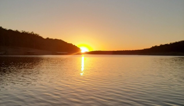 Cottage #6 on Bull Shoals Lake nestled in the woods, Remodeled with fireplace