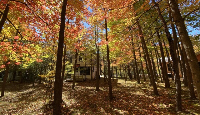 Cottage #8 at DollyBrook just minutes to Saugatuck.